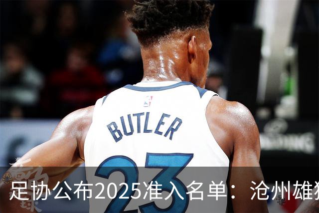 足协公布2025准入名单：沧州雄狮、广州队无缘